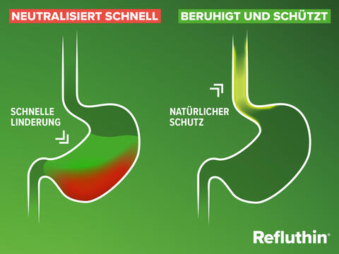Grafik zur Wirkweise von Refluthin®