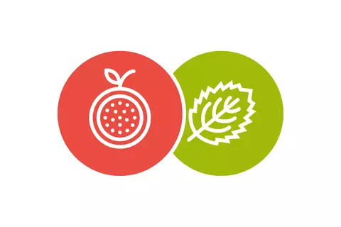 Verwender Icons Frucht- und Minzgeschmack